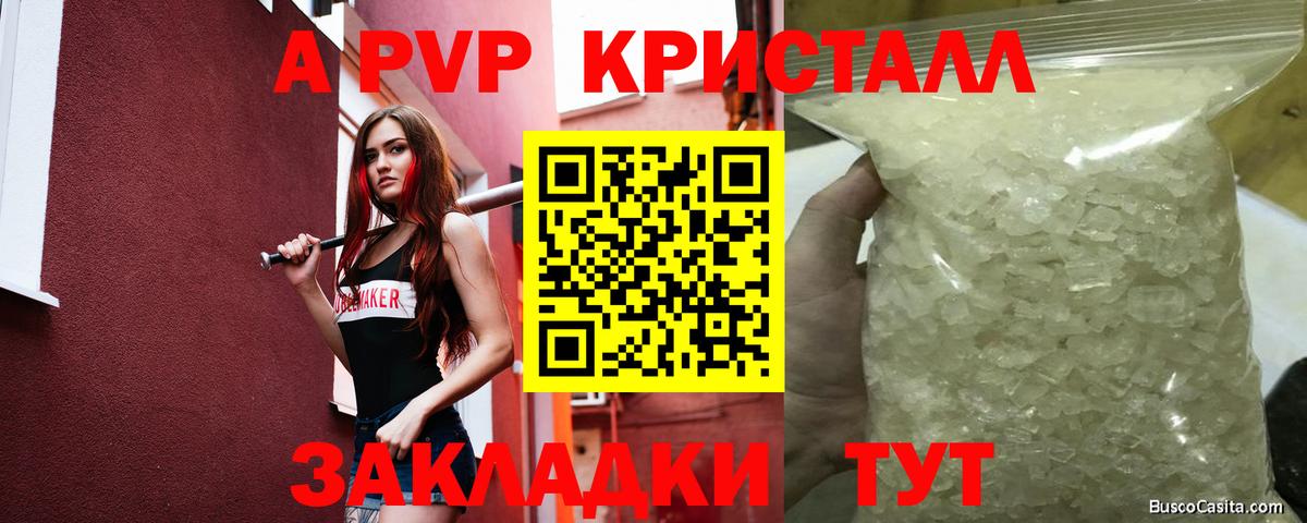 Выборг  Альфа ПВП крисы CK  Вход с VPN  Alfa_PVP мука 