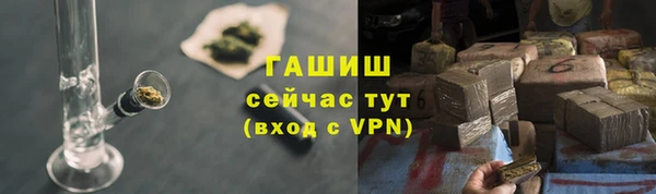 шишки Верея