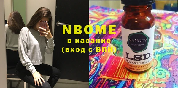 шишки Верея