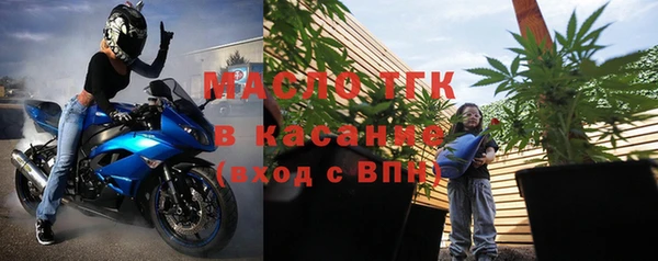 шишки Верея
