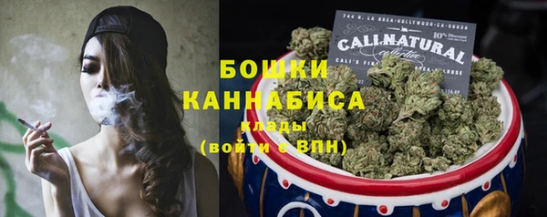 шишки Верея