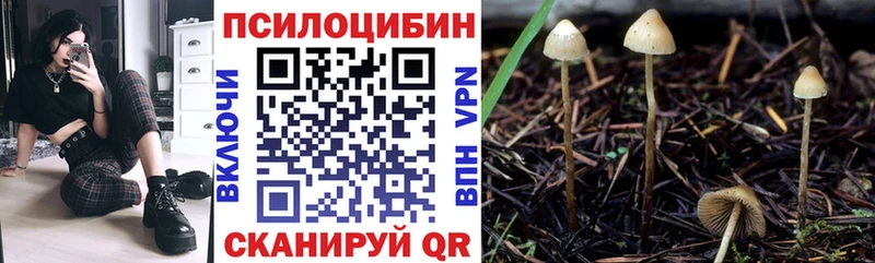 Псилоцибиновые грибы Psilocybine cubensis  Выборг 
