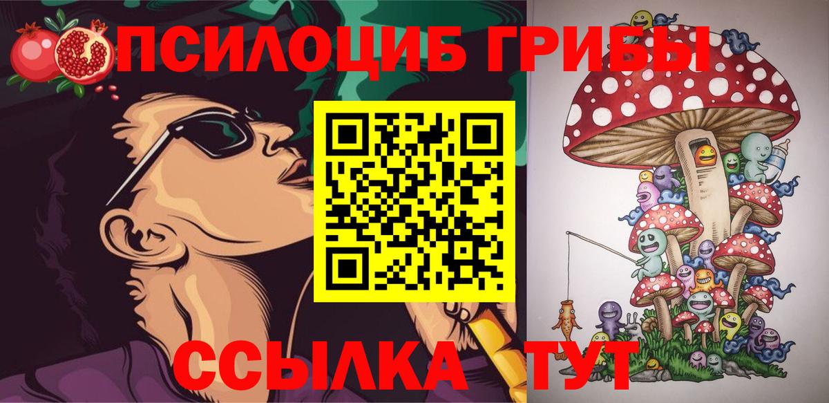 Выборг  Галлюциногенные грибы GOLDEN TEACHER  закладка  Вход с VPN 